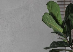monolito imitacija, dekoratyvine apdaila, betono diena, interjeras, jaukus namai